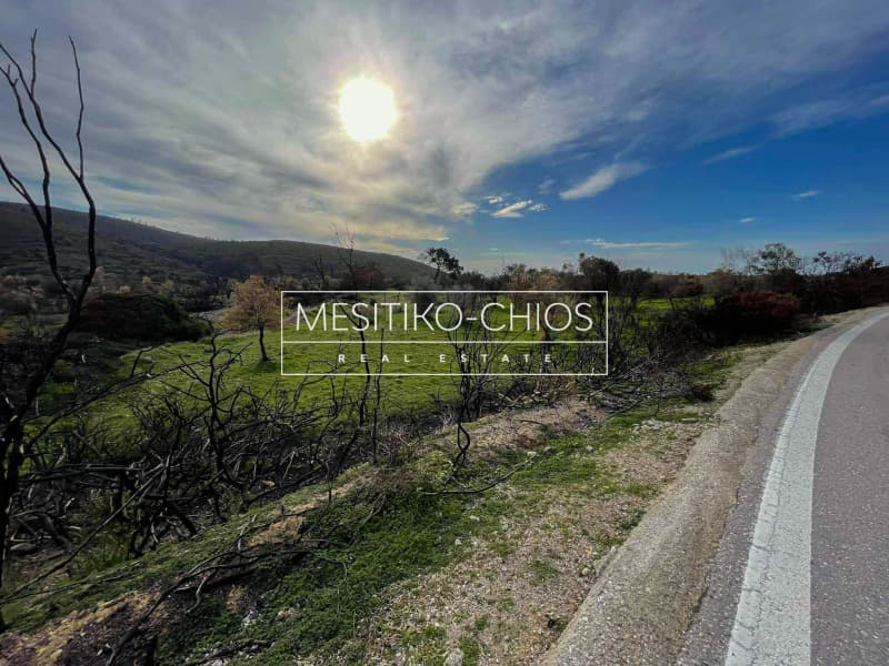 Οικόπεδο στην Αμάνη, Χίος — Φωτογραφία 9 από 25