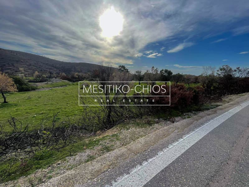Οικόπεδο στην Αμάνη, Χίος — Φωτογραφία 7 από 25