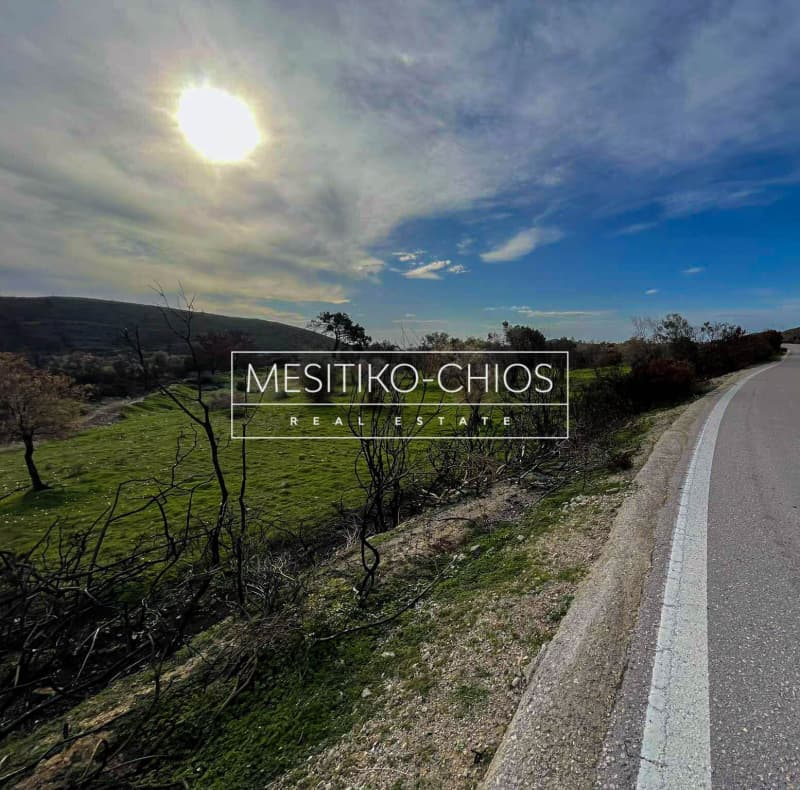 Οικόπεδο στην Αμάνη, Χίος — Φωτογραφία 4 από 25