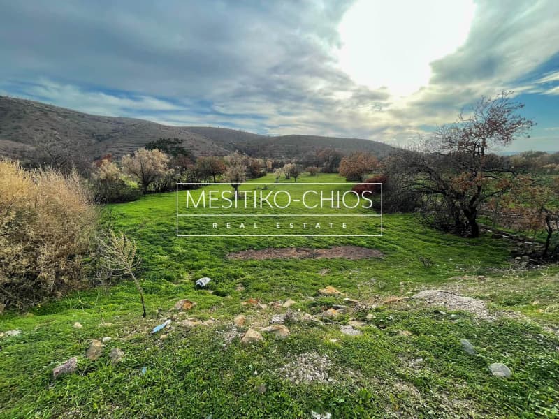 Οικόπεδο στην Αμάνη, Χίος — Φωτογραφία 5 από 25