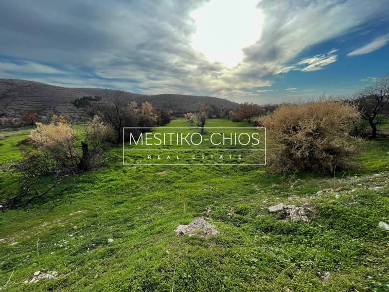 Οικόπεδο στην Αμάνη, Χίος — Φωτογραφία 20 από 25