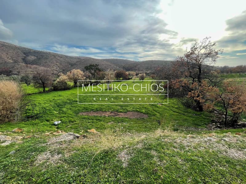 Οικόπεδο στην Αμάνη, Χίος — Φωτογραφία 22 από 25