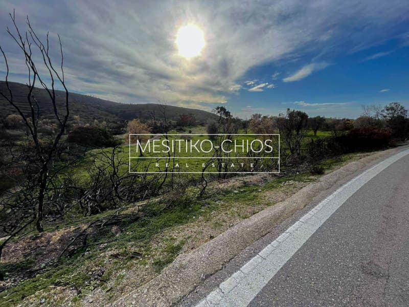 Οικόπεδο στην Αμάνη, Χίος — Φωτογραφία 6 από 25