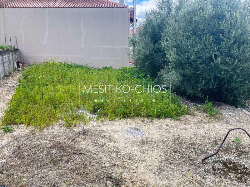 Οικόπεδο στην Ιωνία, Χίος — Φωτογραφία 8 από 14