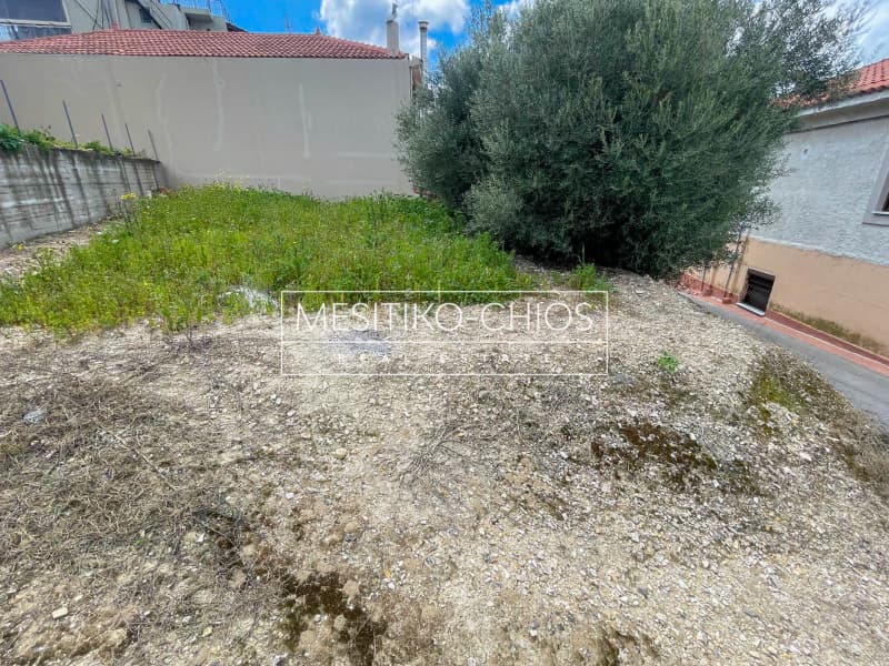 Οικόπεδο στην Ιωνία, Χίος — Φωτογραφία 9 από 14