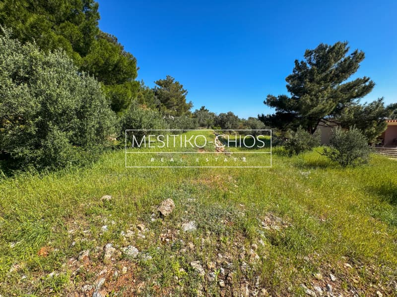 Οικόπεδο στην Πόλη Χίου, Χίος — Φωτογραφία 9 από 28