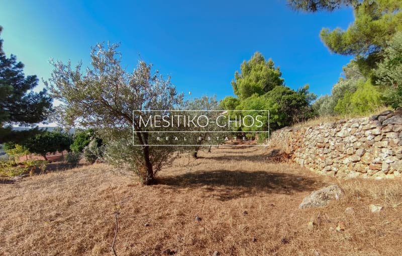 Οικόπεδο στην Πόλη Χίου, Χίος — Φωτογραφία 17 από 28