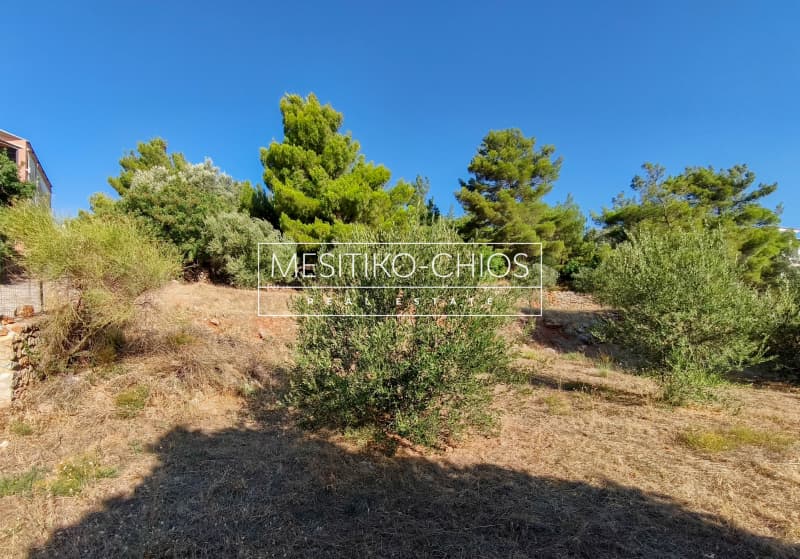Οικόπεδο στην Πόλη Χίου, Χίος — Φωτογραφία 14 από 28