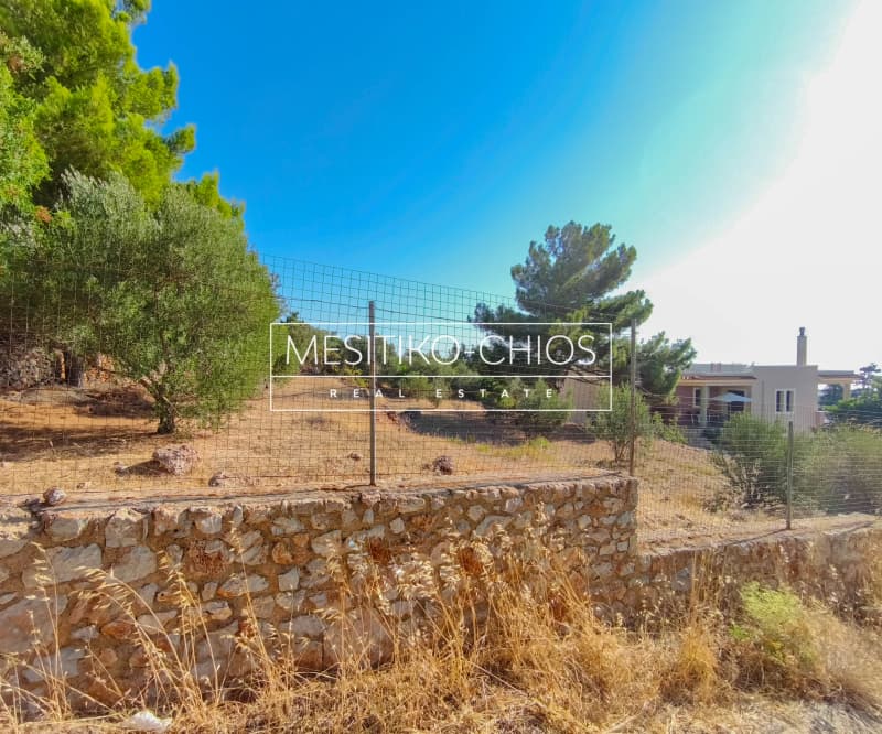 Οικόπεδο στην Πόλη Χίου, Χίος — Φωτογραφία 23 από 28