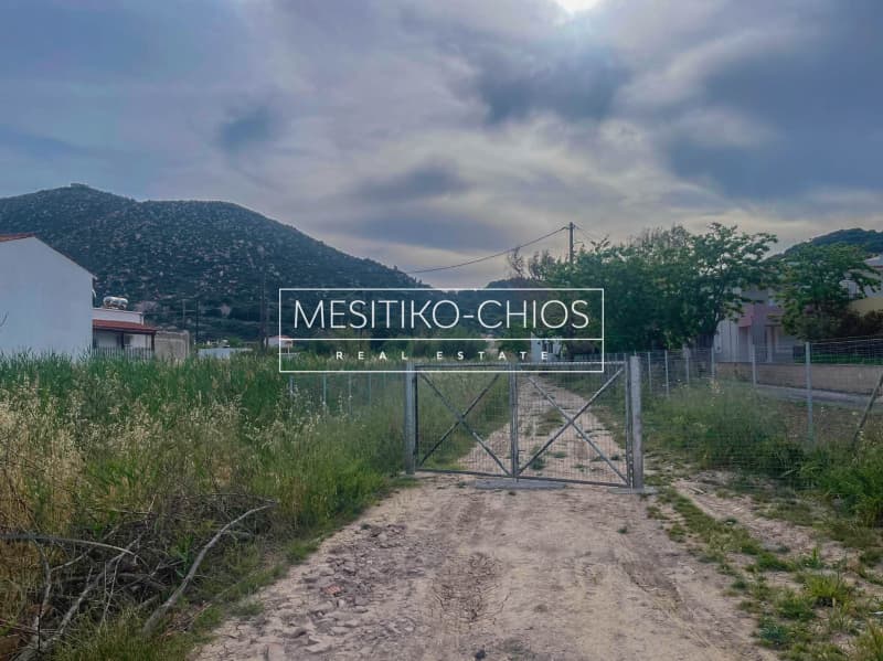 Οικόπεδο στην Ιωνία, Χίος — Φωτογραφία 4 από 24