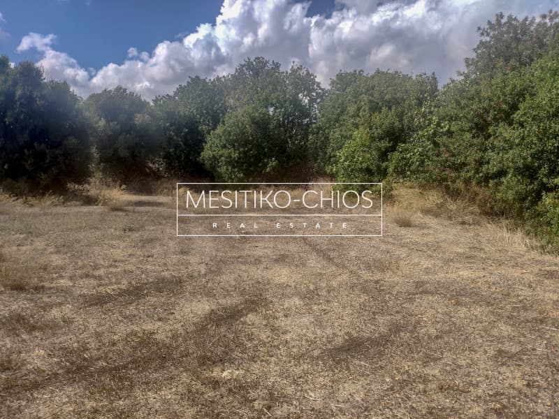 Οικόπεδο στην Άγιος Μηνάς, Χίος — Φωτογραφία 23 από 27