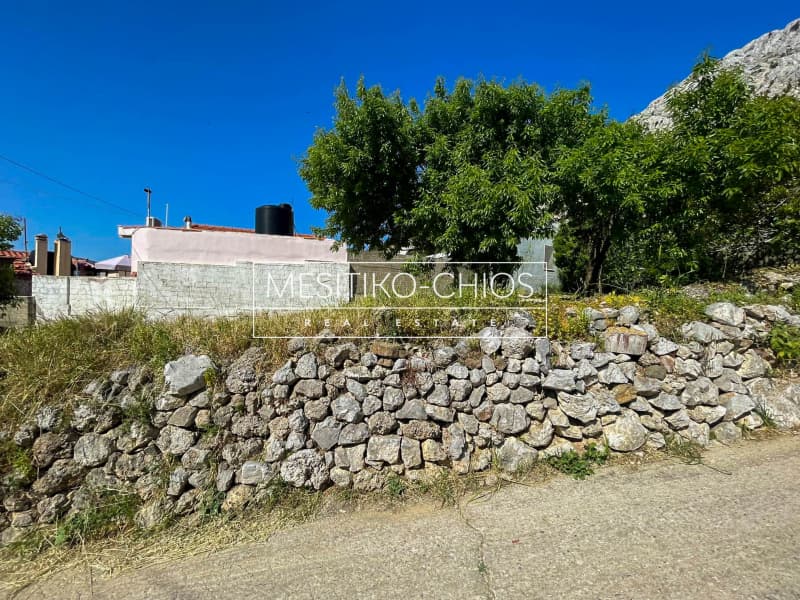 Οικόπεδο στην Ομηρούπολη, Χίος — Φωτογραφία 19 από 25