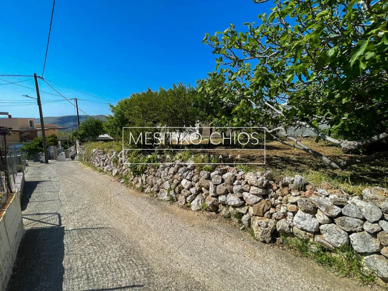 Οικόπεδο στην Ομηρούπολη, Χίος — Φωτογραφία 23 από 25