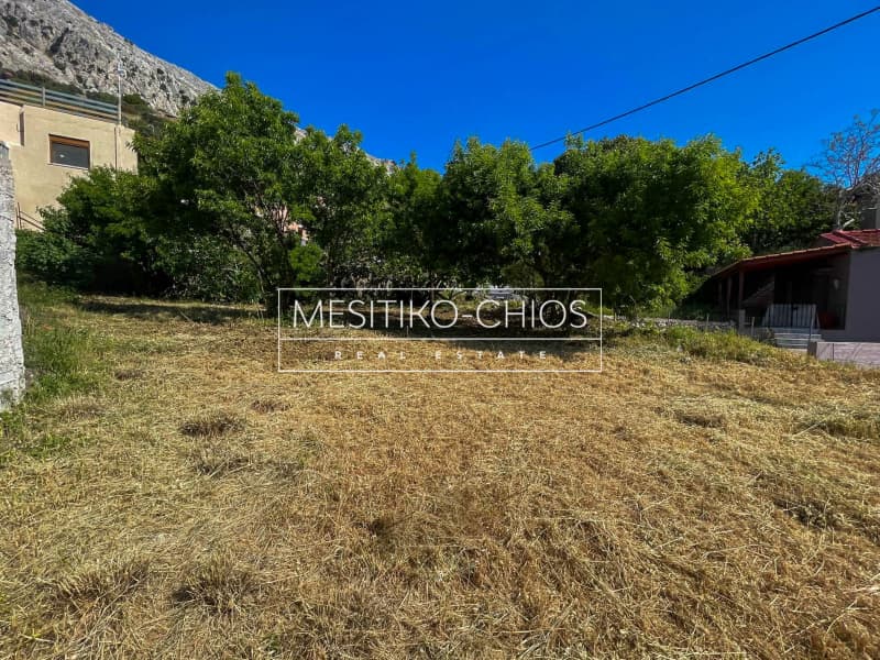 Οικόπεδο στην Ομηρούπολη, Χίος — Φωτογραφία 5 από 25