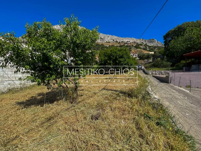 Οικόπεδο στην Ομηρούπολη, Χίος — Φωτογραφία 12 από 25