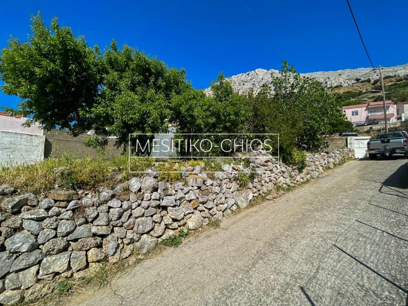 Οικόπεδο στην Ομηρούπολη, Χίος — Φωτογραφία 15 από 25