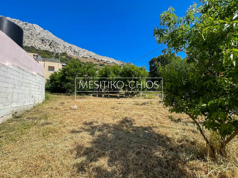 Οικόπεδο στην Ομηρούπολη, Χίος — Φωτογραφία 9 από 25