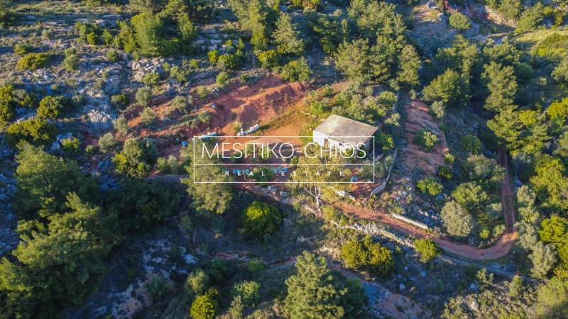 Οικόπεδο στην Πόλη Χίου, Χίος — Φωτογραφία 10 από 15