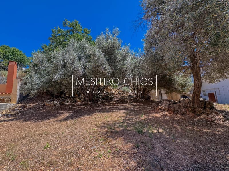 Οικόπεδο στην Πόλη Χίου, Χίος — Φωτογραφία 8 από 26