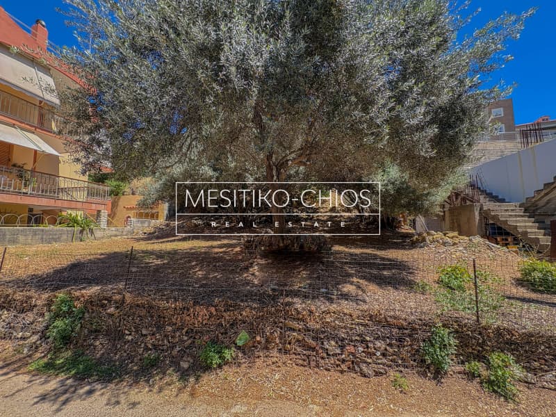 Οικόπεδο στην Πόλη Χίου, Χίος — Φωτογραφία 4 από 26