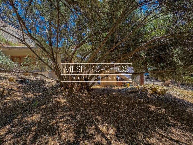 Οικόπεδο στην Πόλη Χίου, Χίος — Φωτογραφία 26 από 26