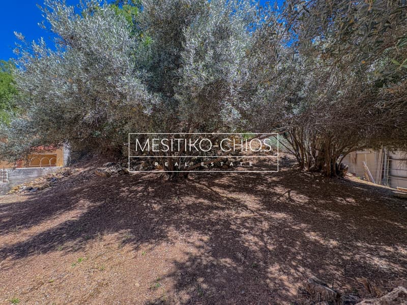 Οικόπεδο στην Πόλη Χίου, Χίος — Φωτογραφία 13 από 26