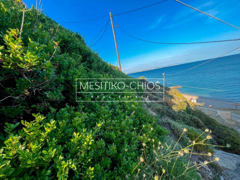 Οικόπεδο στην Ιωνία, Χίος — Φωτογραφία 5 από 10