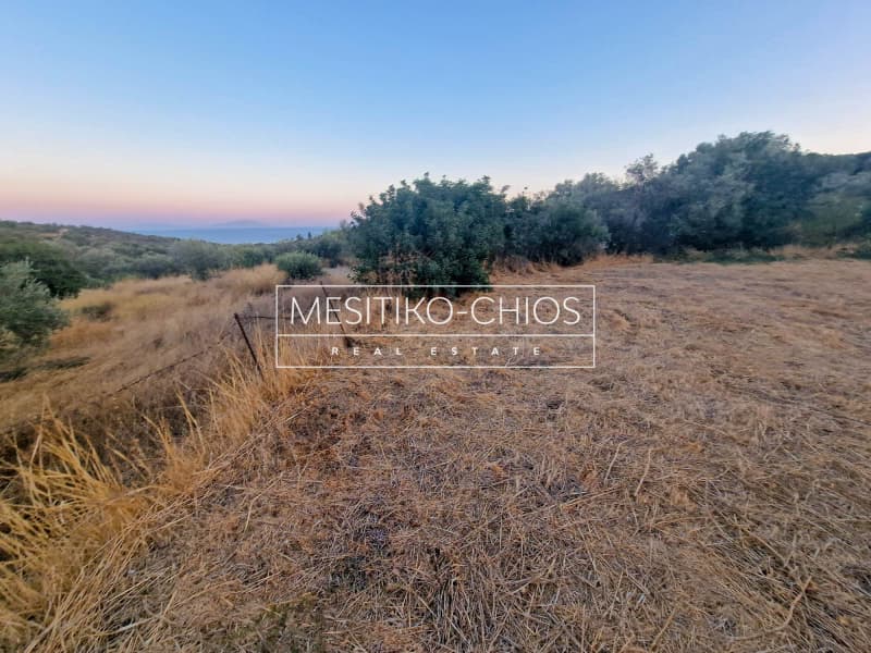 Οικόπεδο στην Ιωνία, Χίος — Φωτογραφία 9 από 21