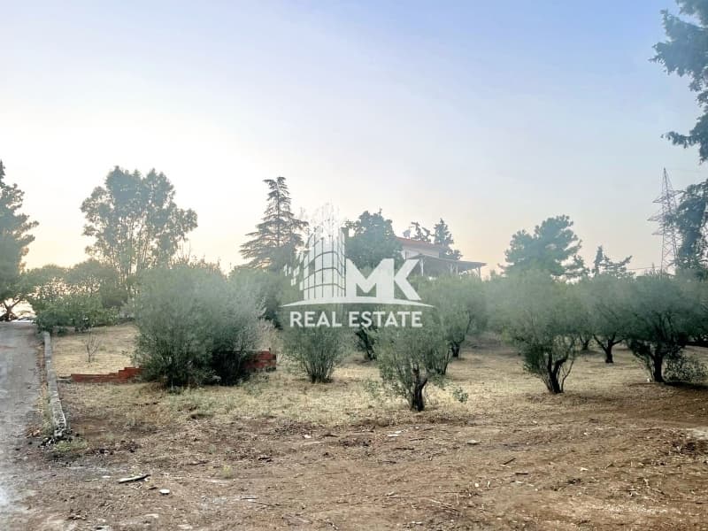 Μονοκατοικία στην Θέρμη - Κέντρο, Θέρμη — Φωτογραφία 26 από 30