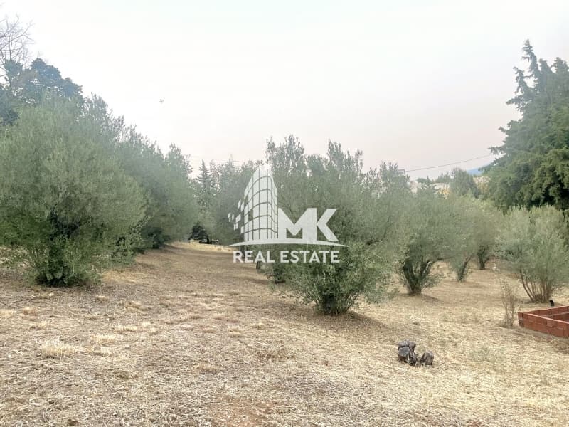 Μονοκατοικία στην Θέρμη - Κέντρο, Θέρμη — Φωτογραφία 25 από 30