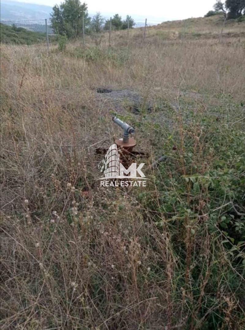 Μονοκατοικία στην Μελισσοχώρι, Μυγδονία — Φωτογραφία 10 από 11