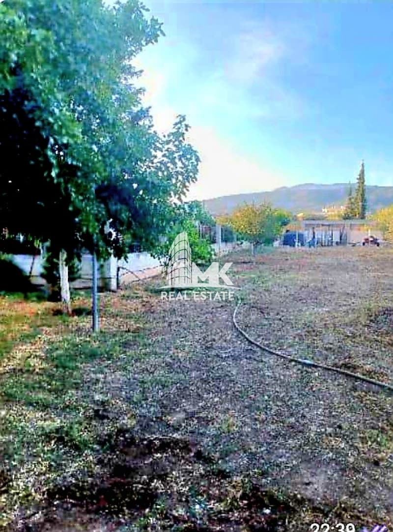 Μονοκατοικία στην Άγιοι Θεόδωροι, Άγιοι Θεόδωροι — Φωτογραφία 27 από 30