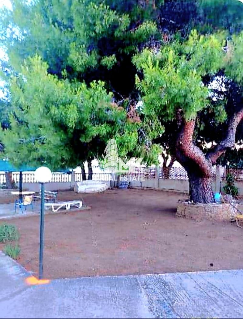 Μονοκατοικία στην Άγιοι Θεόδωροι, Άγιοι Θεόδωροι — Φωτογραφία 30 από 30