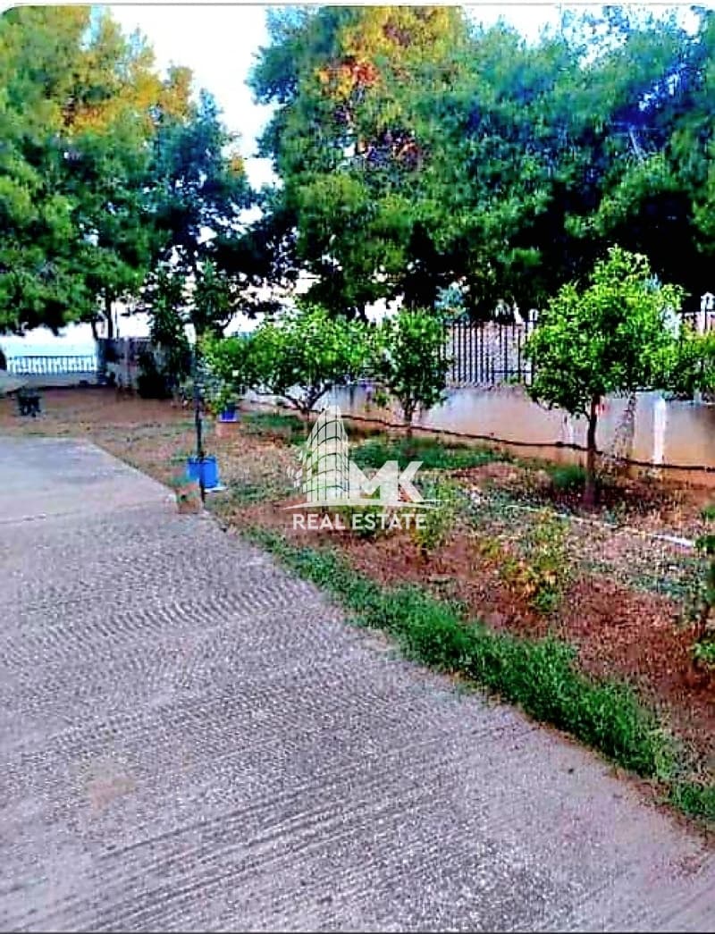 Μονοκατοικία στην Άγιοι Θεόδωροι, Άγιοι Θεόδωροι — Φωτογραφία 25 από 30