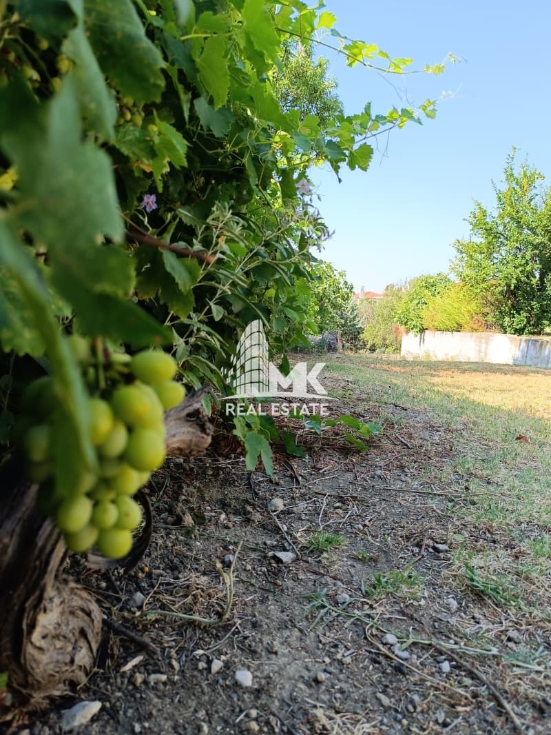 Μονοκατοικία στην Παλαιόκαστρο, Ωραιόκαστρο — Φωτογραφία 7 από 24