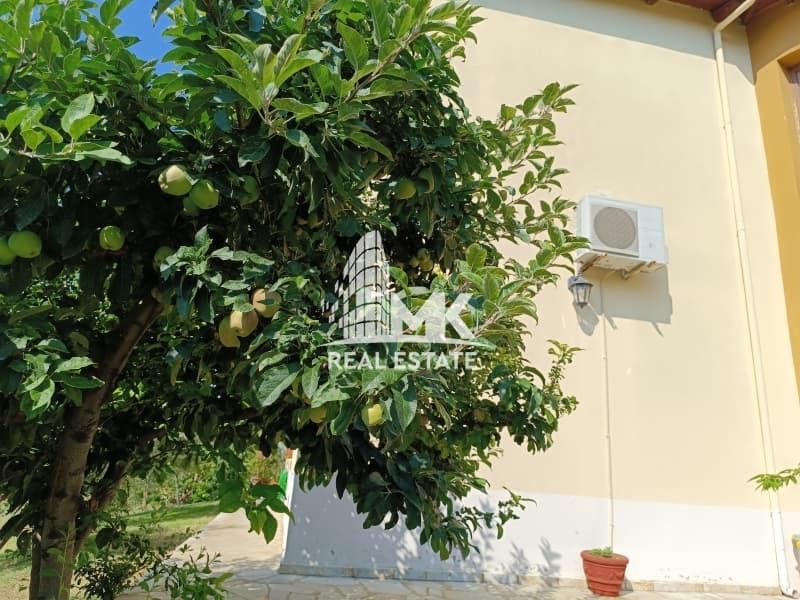 Μονοκατοικία στην Παλαιόκαστρο, Ωραιόκαστρο — Φωτογραφία 5 από 24