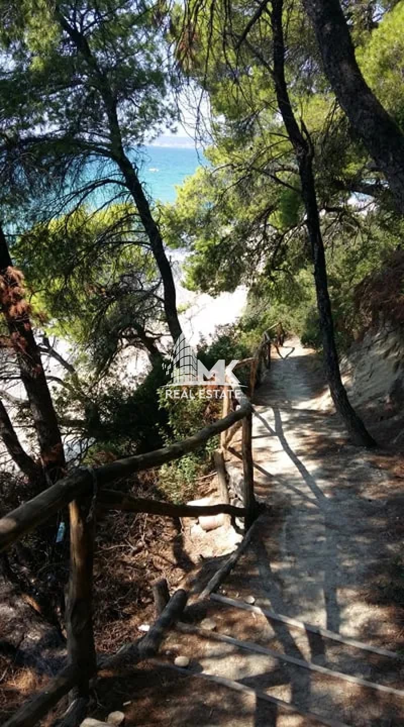 Μονοκατοικία στην Σίβηρη, Κασσάνδρα — Φωτογραφία 18 από 25