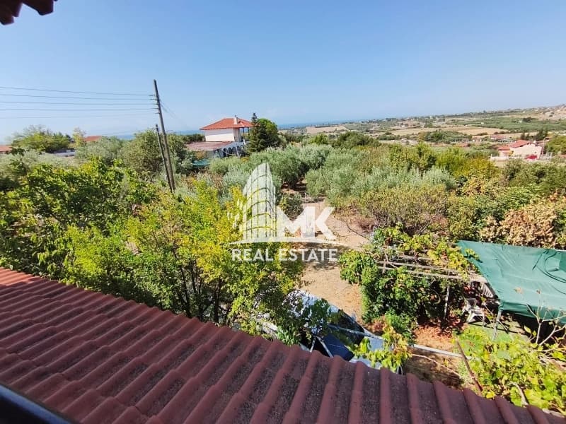Μονοκατοικία στην Νέα Σίλατα, Καλλικράτεια — Φωτογραφία 12 από 30