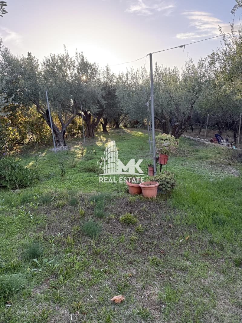 Μονοκατοικία στην Νέα Σίλατα, Καλλικράτεια — Φωτογραφία 6 από 30