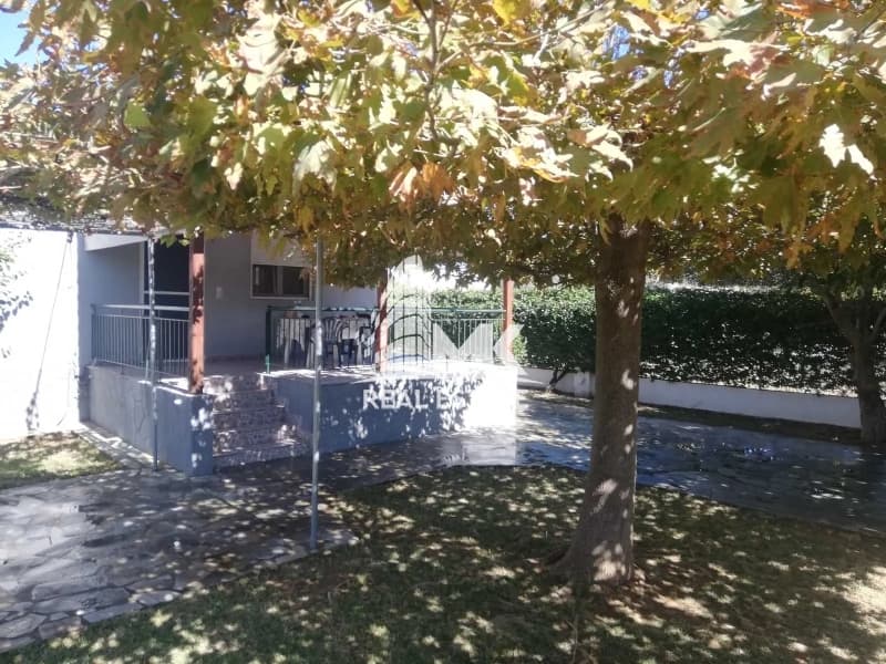 House in Sozopoli, Triglia — Photo 12 of 23