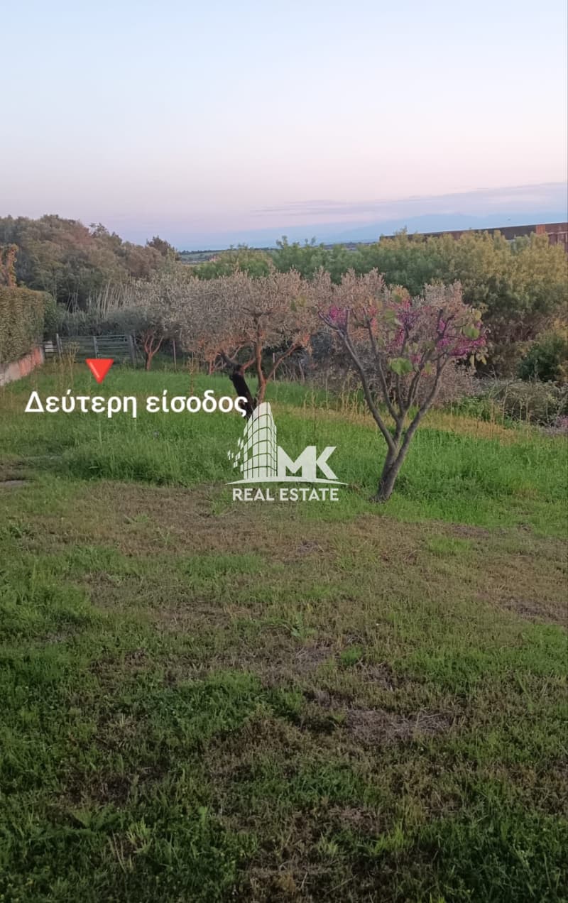 Μονοκατοικία στην Πλαγιάρι, Μίκρα — Φωτογραφία 9 από 30
