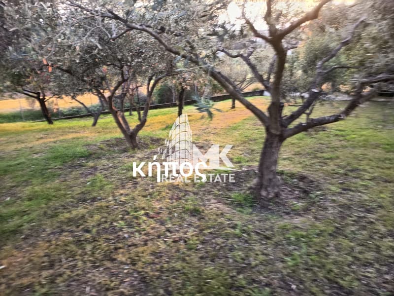 Μονοκατοικία στην Πλαγιάρι, Μίκρα — Φωτογραφία 13 από 30