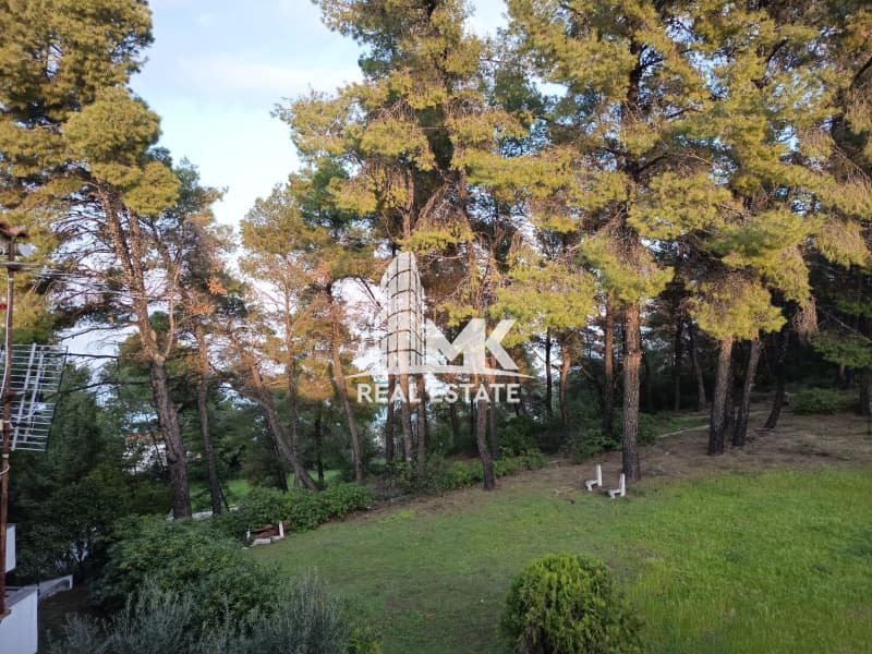 Μονοκατοικία στην Καλλιθέα, Κασσάνδρα — Φωτογραφία 7 από 21