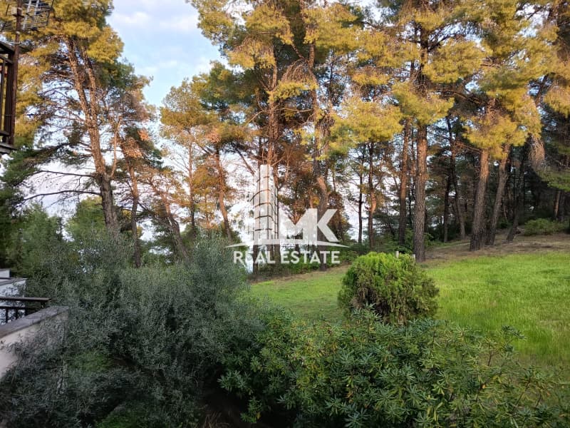 Μονοκατοικία στην Καλλιθέα, Κασσάνδρα — Φωτογραφία 3 από 21
