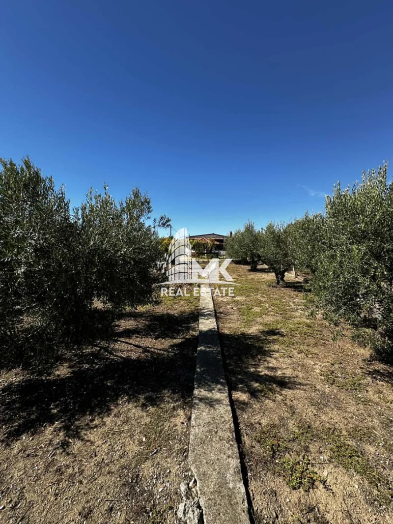 House in Sozopoli, Triglia — Photo 21 of 23