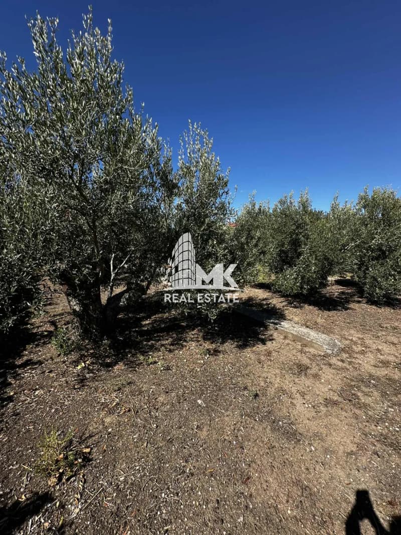 House in Sozopoli, Triglia — Photo 20 of 23