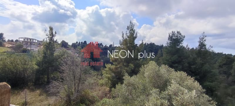 Μονοκατοικία στην Κρυοπηγή, Κασσάνδρα — Φωτογραφία 28 από 30