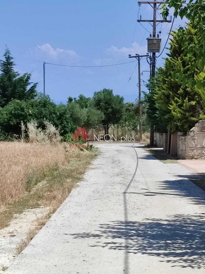 Μονοκατοικία στην Κρυοπηγή, Κασσάνδρα — Φωτογραφία 13 από 30