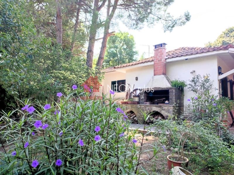 Μονοκατοικία στην Κασσάνδρεια, Κασσάνδρα — Φωτογραφία 11 από 30