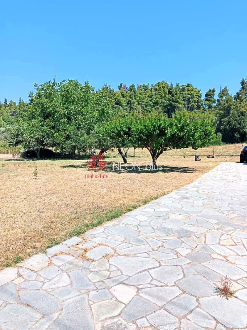 Μονοκατοικία στην Κασσανδρηνό, Κασσάνδρα — Φωτογραφία 15 από 18